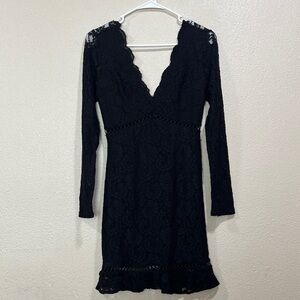 Express Black Lace Long-Sleeve V-Neck Dress